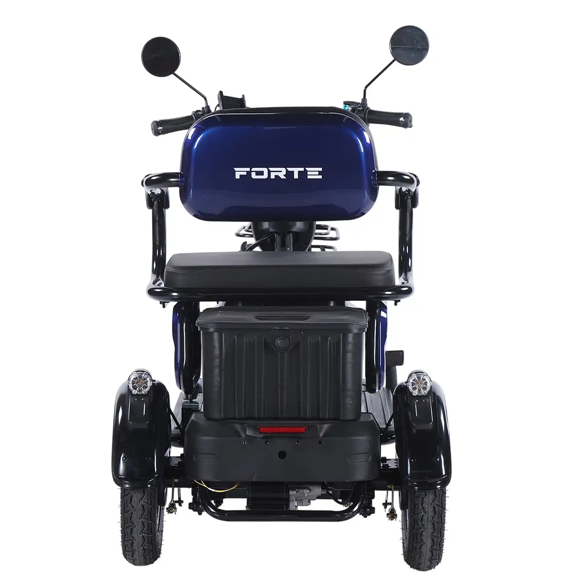 Трицикл аккумуляторный Forte Family-WN1072G Синий