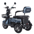 Трицикл акумуляторний Forte Family-WN1072G Сірий