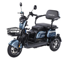 Трицикл аккумуляторный Forte Family-WN1072G Серый