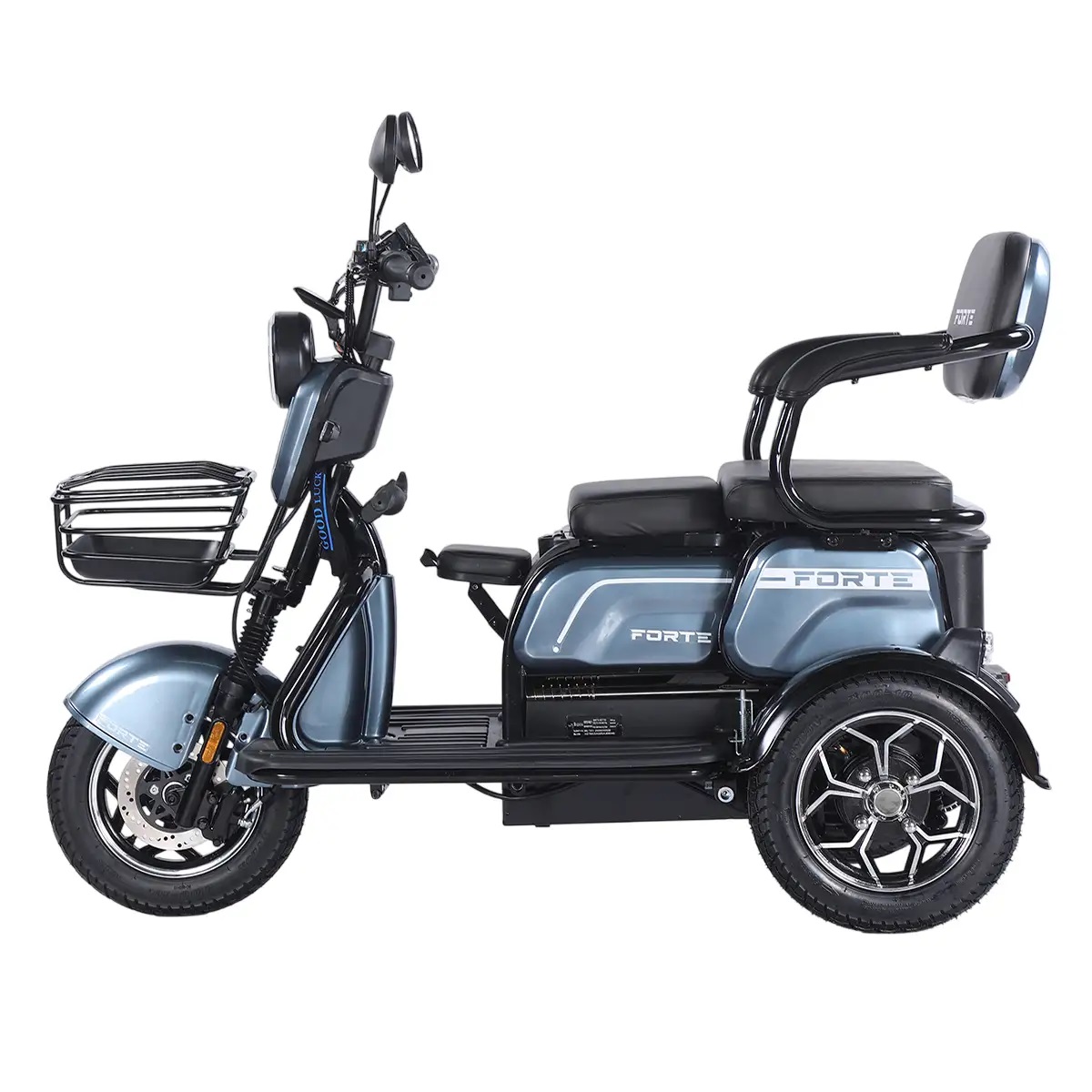 Трицикл акумуляторний Forte Family-WN1072G Сірий