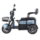 Трицикл акумуляторний Forte Family-WN1072G Сірий