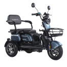 Трицикл акумуляторний Forte Family-WN1072G Сірий