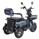 Трицикл акумуляторний Forte Family-WN1072G Сірий