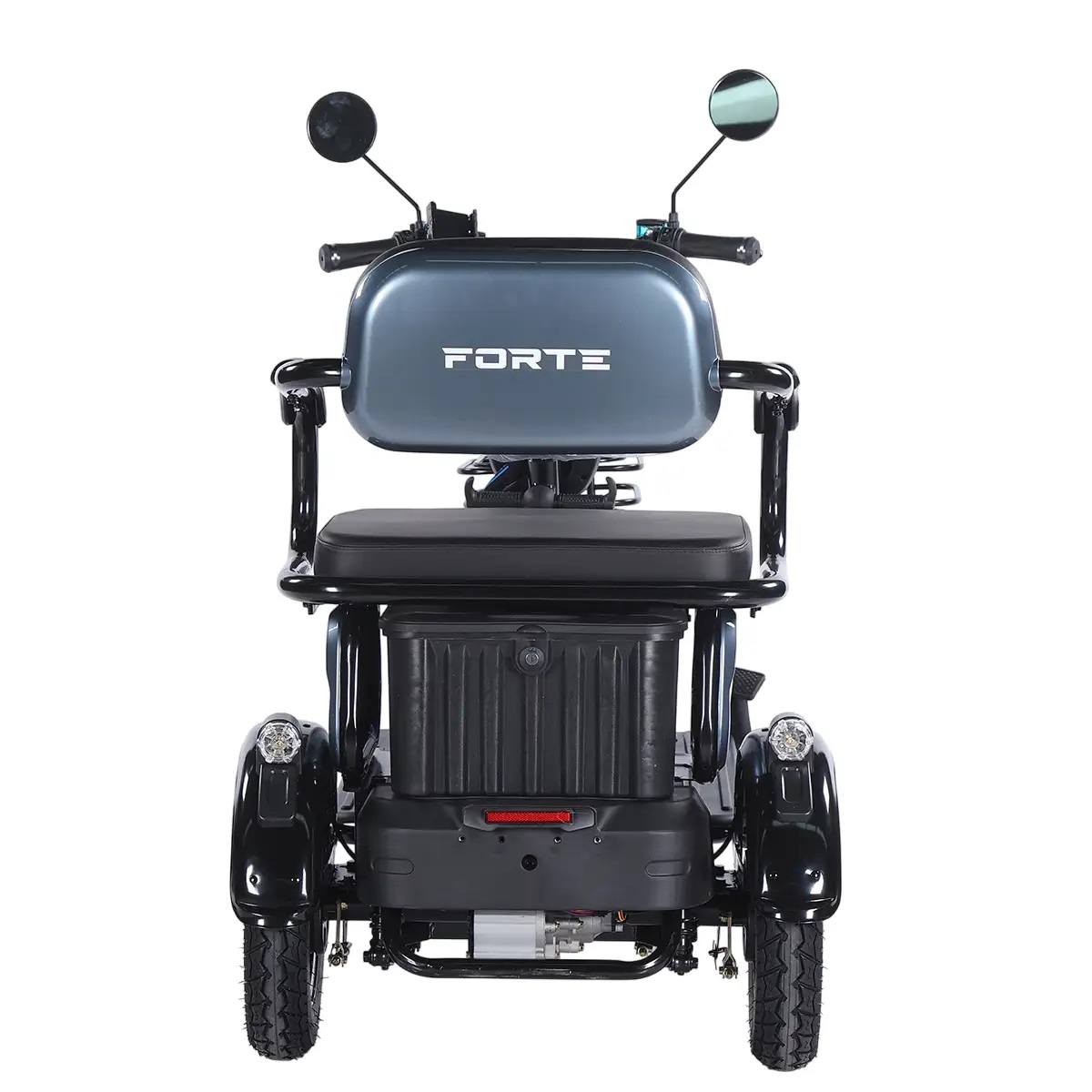 Трицикл акумуляторний Forte Family-WN1072G Сірий