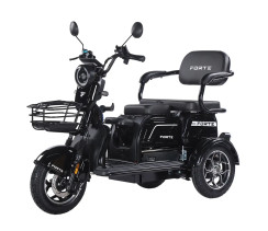 Трицикл аккумуляторный Forte Family-WN1072G Черный