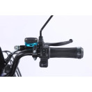 Трицикл аккумуляторный Forte Family-WN1072G Черный