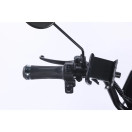 Трицикл аккумуляторный Forte Family-WN1072G Черный