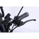 Трицикл аккумуляторный Forte Family-WN1072G Черный
