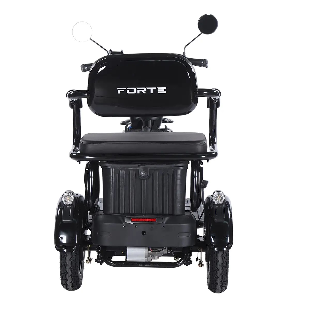 Трицикл аккумуляторный Forte Family-WN1072G Черный