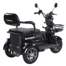 Трицикл аккумуляторный Forte Family-WN1072G Черный
