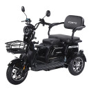 Трицикл аккумуляторный Forte Family-WN1072G Черный