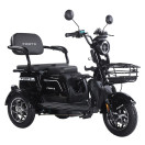 Трицикл аккумуляторный Forte Family-WN1072G Черный