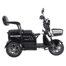Трицикл аккумуляторный Forte Family-WN1072G Черный