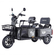 Battery tricycle Forte CARGO-WN1072G Gray