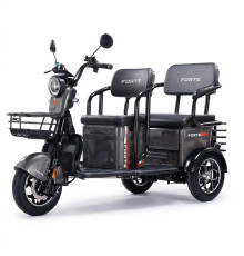 Battery tricycle Forte TRANSIT-WN1072G Gray