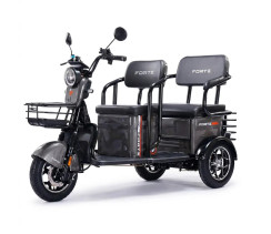 Battery tricycle Forte TRANSIT-WN1072G Gray