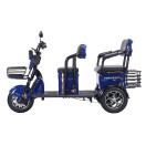 Трицикл аккумуляторный Forte TRANSIT-WN1072G Синий