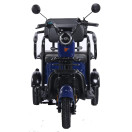 Трицикл аккумуляторный Forte TRANSIT-WN1072G Синий