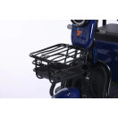 Трицикл аккумуляторный Forte TRANSIT-WN1072G Синий