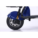 Трицикл аккумуляторный Forte TRANSIT-WN1072G Синий