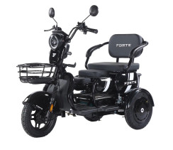 Battery tricycle Forte Family-WN1060 Black