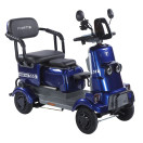 Трицикл аккумуляторный Forte SONIC-WN800B Синий