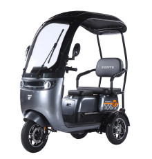 Трицикл акумуляторний Forte TRINE-WN1072G Сірий