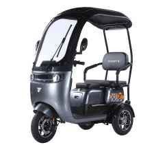 Battery tricycle Forte TRINE-WN1072G Gray