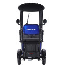 Трицикл аккумуляторный Forte TRINE-WN1072G Синий