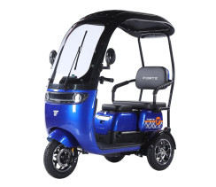 Battery tricycle Forte TRINE-WN1072G Blue