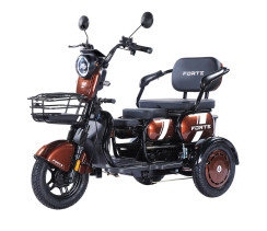 Battery tricycle Forte Family-WN1060 Brown