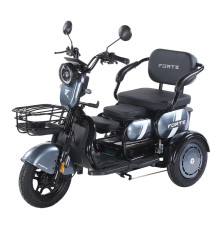 Трицикл акумуляторний Forte Family-WN1060 Сірий