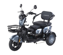 Battery tricycle Forte Family-WN1060 Gray