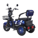 Трицикл акумуляторний Forte Family-WN1060 Синій