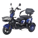 Трицикл акумуляторний Forte Family-WN1060 Синій