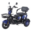 Трицикл акумуляторний Forte Family-WN1060 Синій