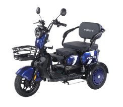 Battery tricycle Forte Family-WN1060 Blue