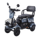 Трицикл аккумуляторный Forte SONIC-WN800S Серый
