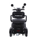 Трицикл акумуляторний Forte SONIC-WN800S Чорний