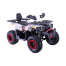 Квадроцикл Forte BRAVES 200 LUX біло-червоний