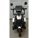 Электроскутер FORTE FAMILY белый