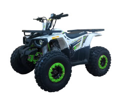 Квадроцикл FORTE Hunter 125 біло-зелений
