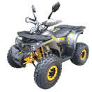 Квадроцикл FORTE Shark II 150 серо-желтый