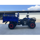 Квадроцикл FORTE ATV-250BS-T Синий