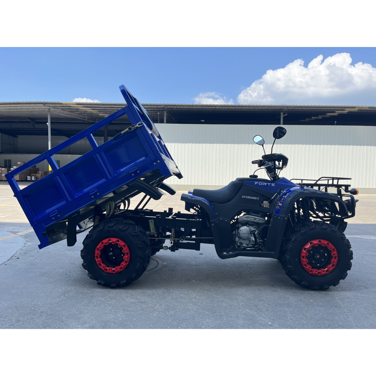 Квадроцикл FORTE ATV-250BS-T Синий