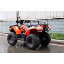 Квадроцикл RATO ATV200 STANDARD помаранчевий